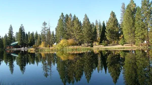 Burney Falls / Hat Creek KOA Holiday Picture 9