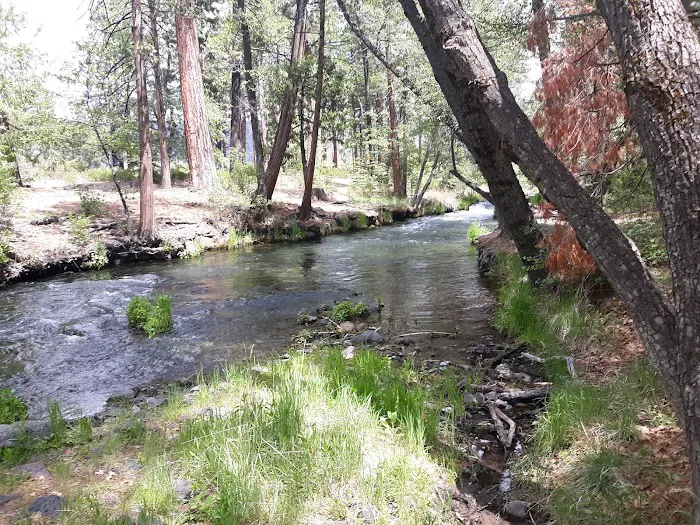 Bridge Campground Picture 4