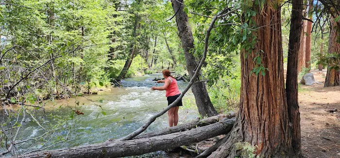 Bridge Campground Picture 2