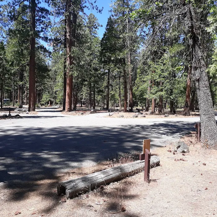 Bridge Campground Picture 6