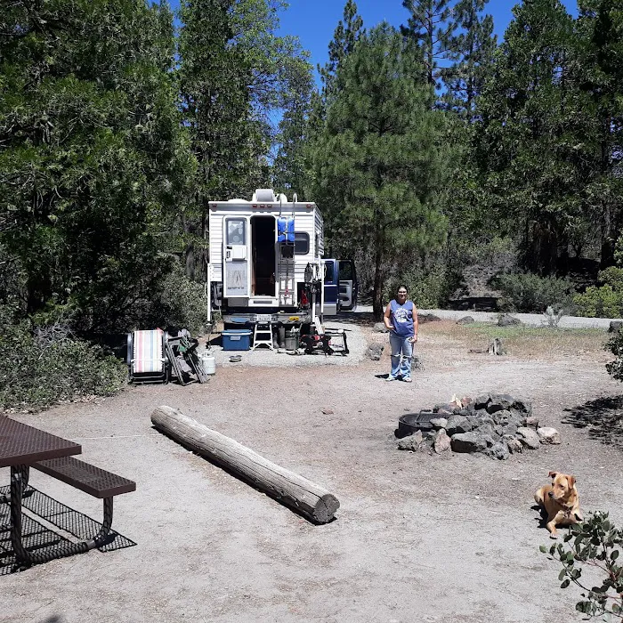 Bridge Campground Picture 8