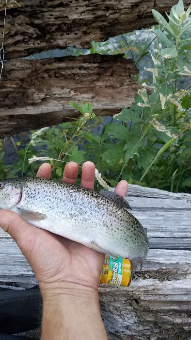 Rocky Campground Picture 7