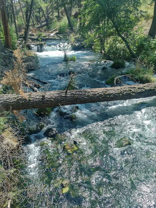 Rocky Campground Picture 9