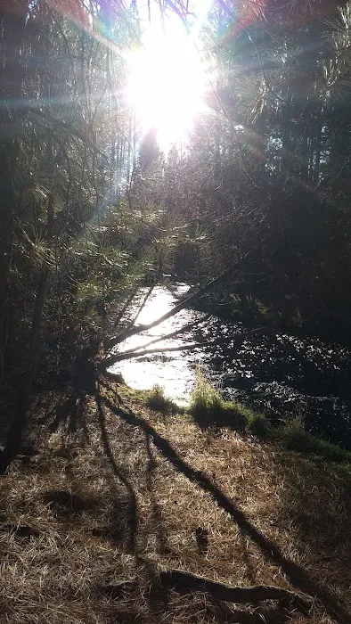 Rocky Campground Picture 3