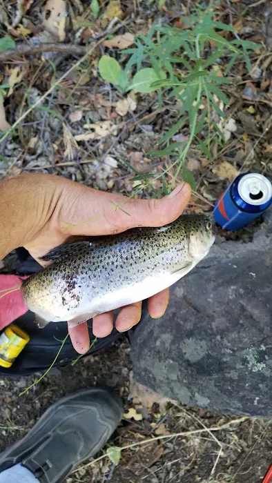 Rocky Campground Picture 6