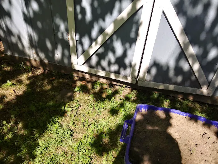 Brookhaven Park Picture 2