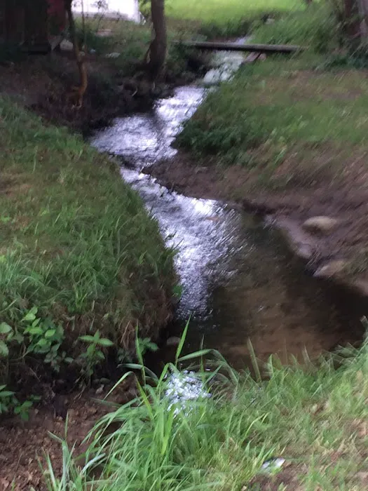 Brookhaven Park Picture 9