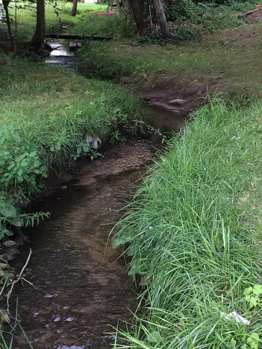 Brookhaven Park Picture 5