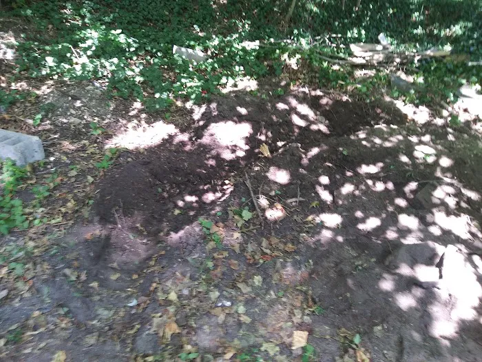 Brookhaven Park Picture 4