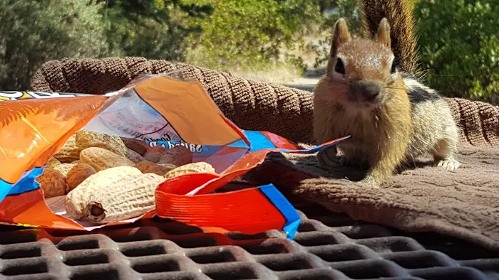 Cave Campground Picture 6