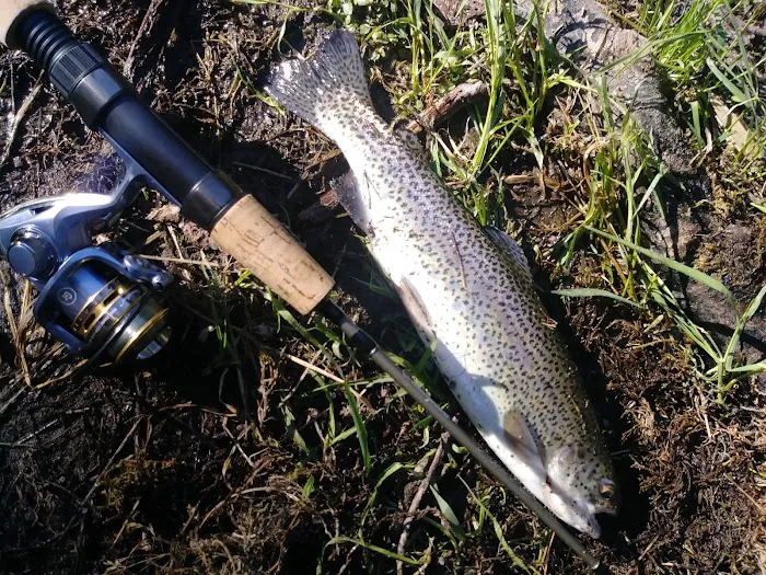 Cave Campground Picture 7