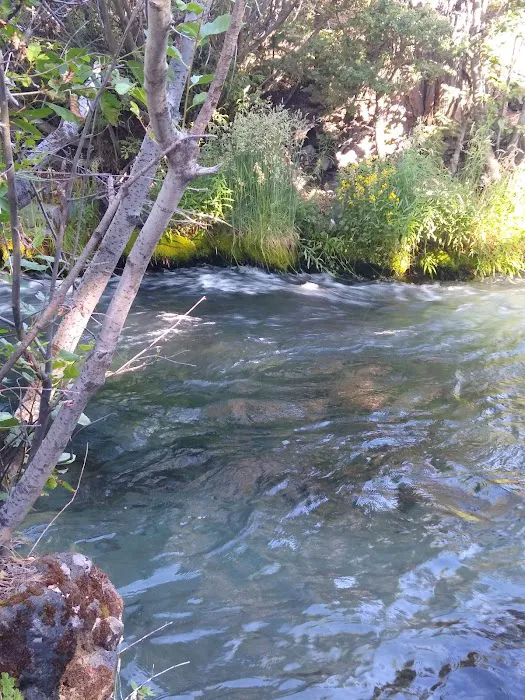 Cave Campground Picture 9