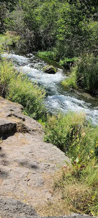 Old Station Campground Picture 1