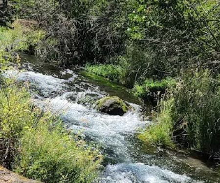 Old Station Campground