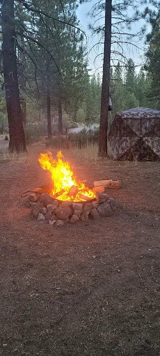 Old Station Campground Picture 2