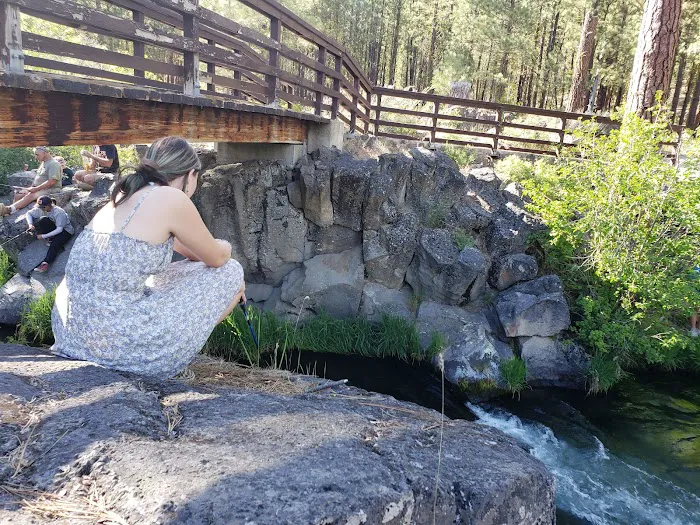 Old Station Campground Picture 8