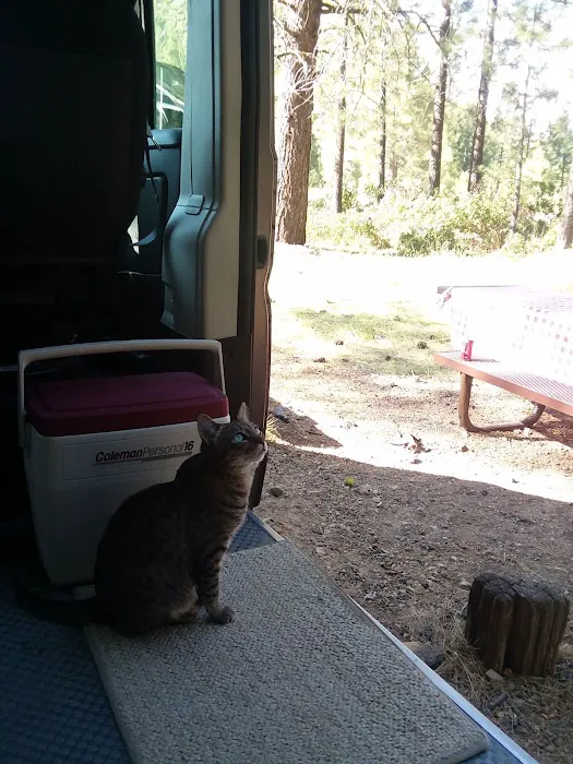 Old Station Campground Picture 10
