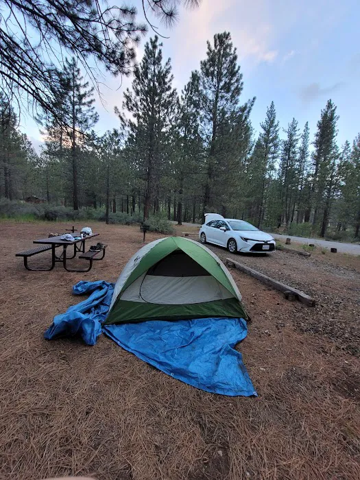 Hat Creek Campground Picture 3