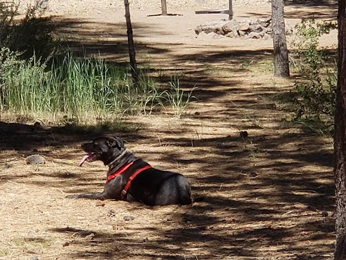 Hat Creek Campground Picture 1