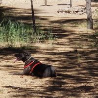 Hat Creek Campground ico