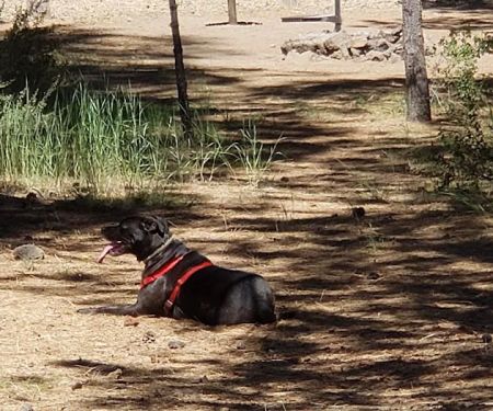 Hat Creek Campground