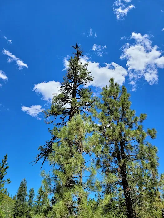 Hat Creek Campground Picture 4