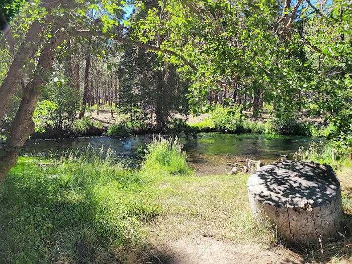 Hat Creek Campground Picture 9