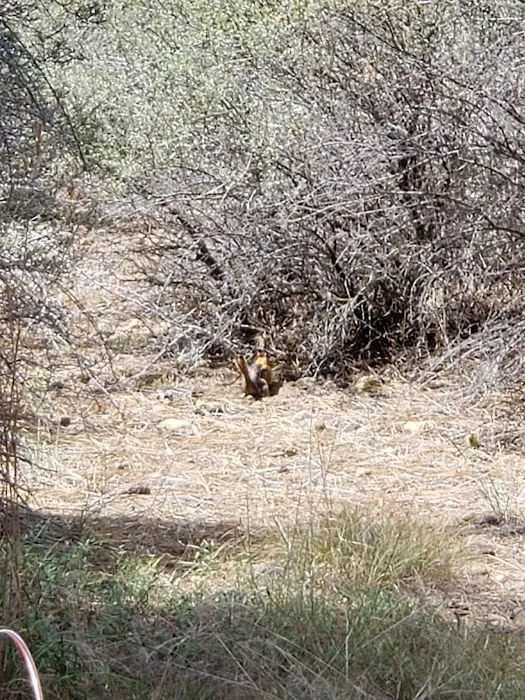 Hat Creek Campground Picture 8