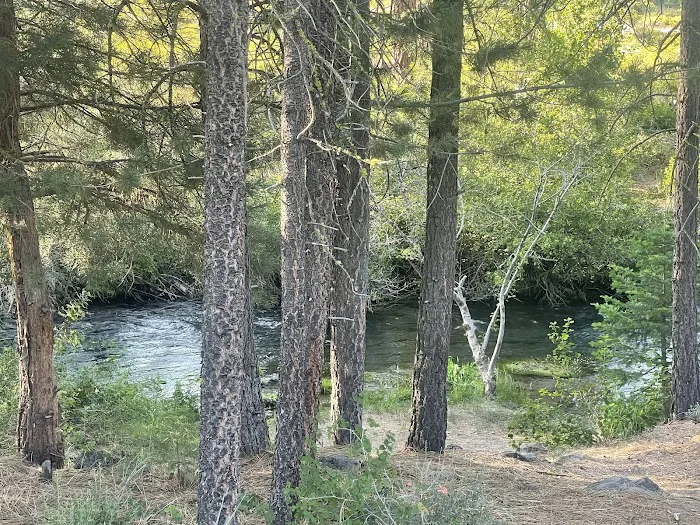 Hat Creek Campground Picture 7