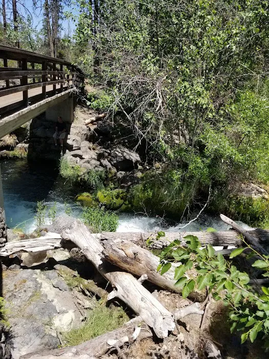 Hat Creek Campground Picture 6