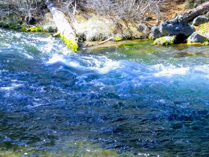 Hat Creek Campground Picture 5