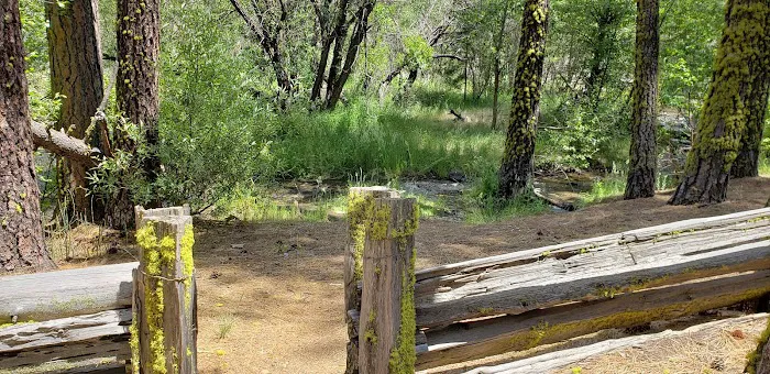 Big Pine Campground Picture 9