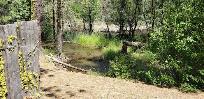 Big Pine Campground Picture 8