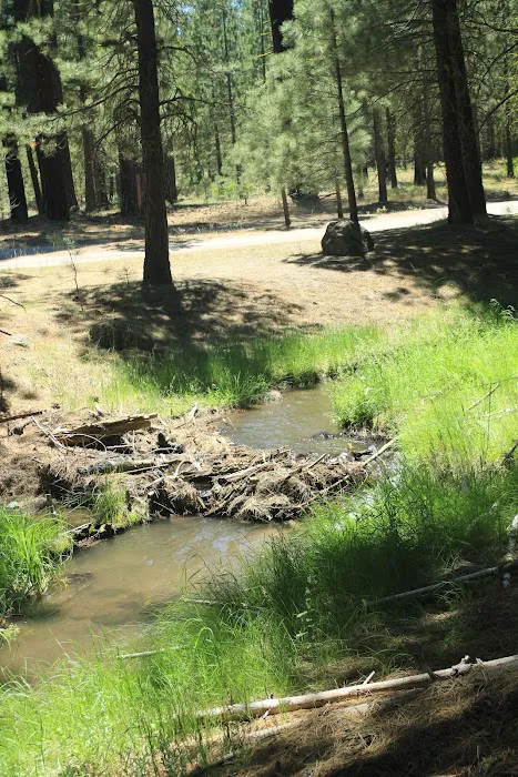 Big Pine Campground Picture 4