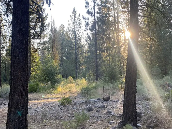 Big Pine Campground Picture 6
