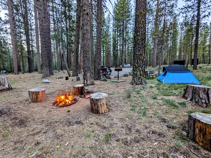 Big Pine Campground Picture 3