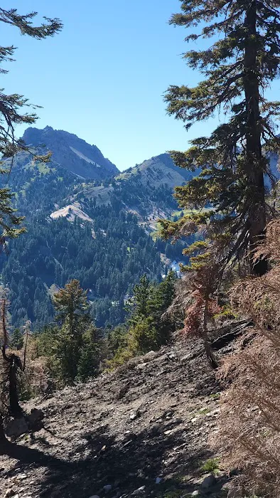 Lost Creek Group Campground Picture 3