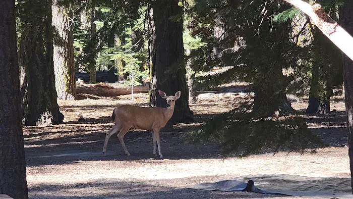 Lost Creek Group Campground Picture 6