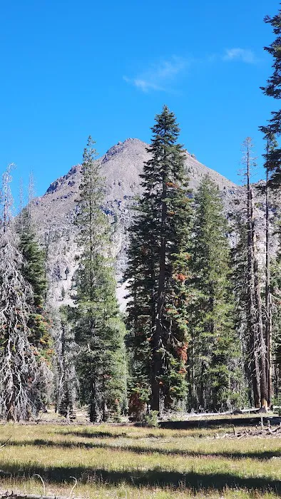 Lost Creek Group Campground Picture 7