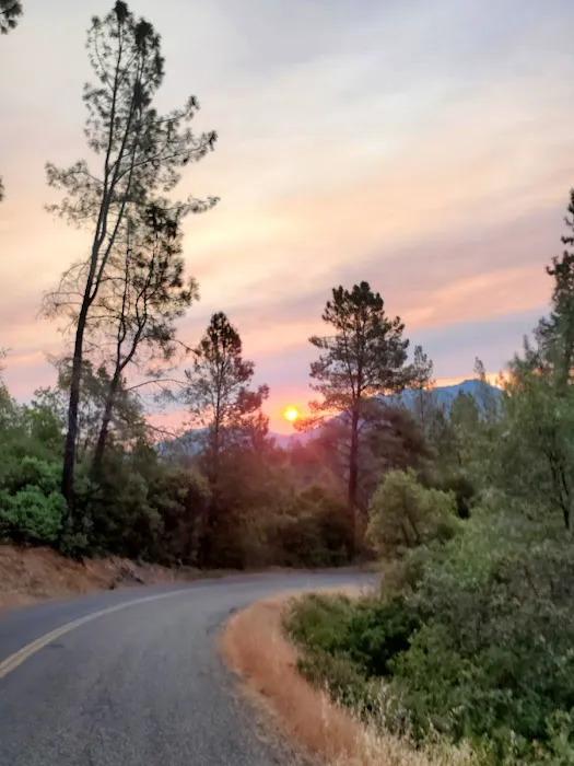 Bailey Cove Campground Picture 1