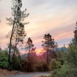 Bailey Cove Campground