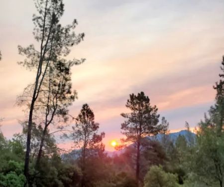 Bailey Cove Campground