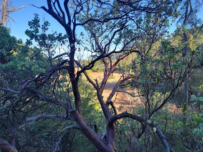 Bailey Cove Campground Picture 10