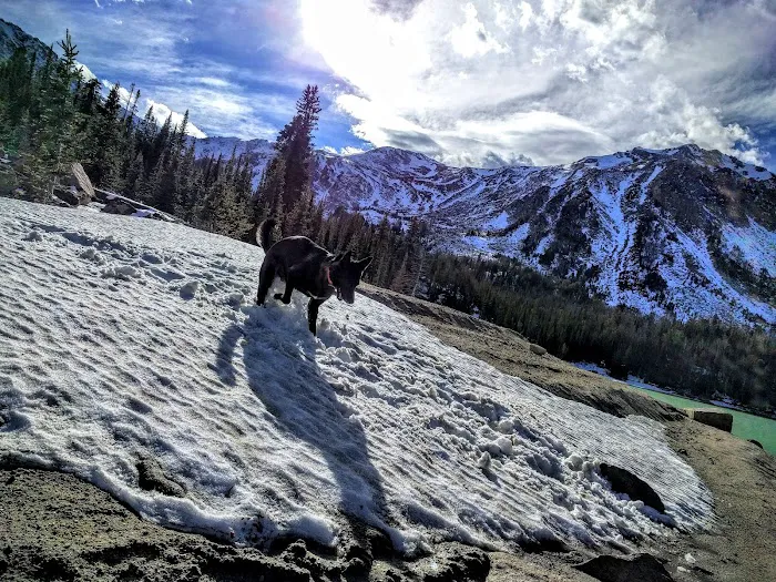 Potosi Campground and Picnic Area Picture 10