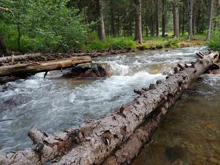 Potosi Campground and Picnic Area Picture 1