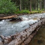 Potosi Campground and Picnic Area