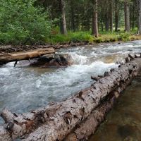 Potosi Campground and Picnic Area ico