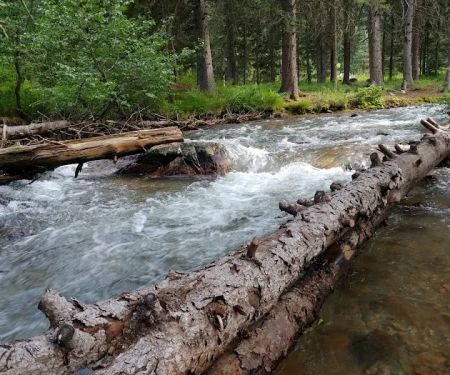 Potosi Campground and Picnic Area