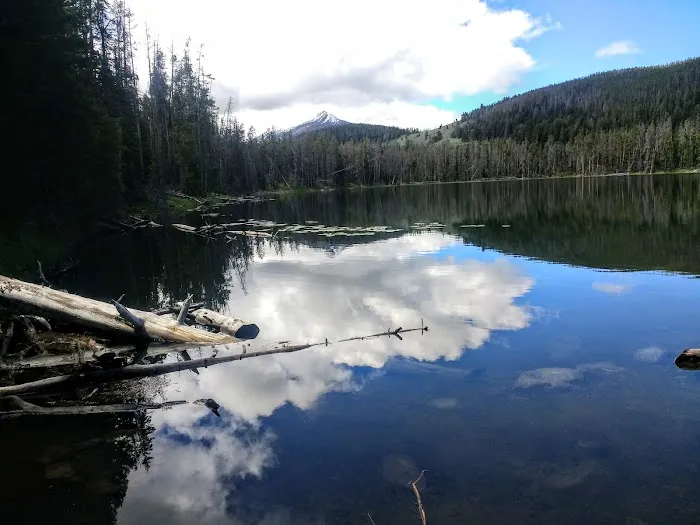 Potosi Campground and Picnic Area Picture 5