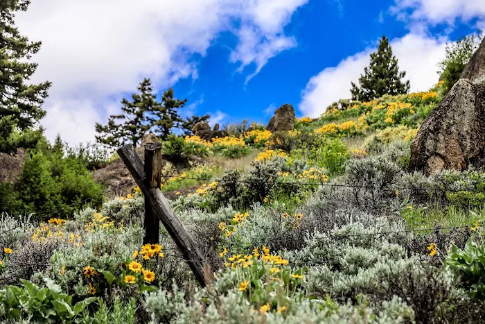 Potosi Campground and Picnic Area Picture 3